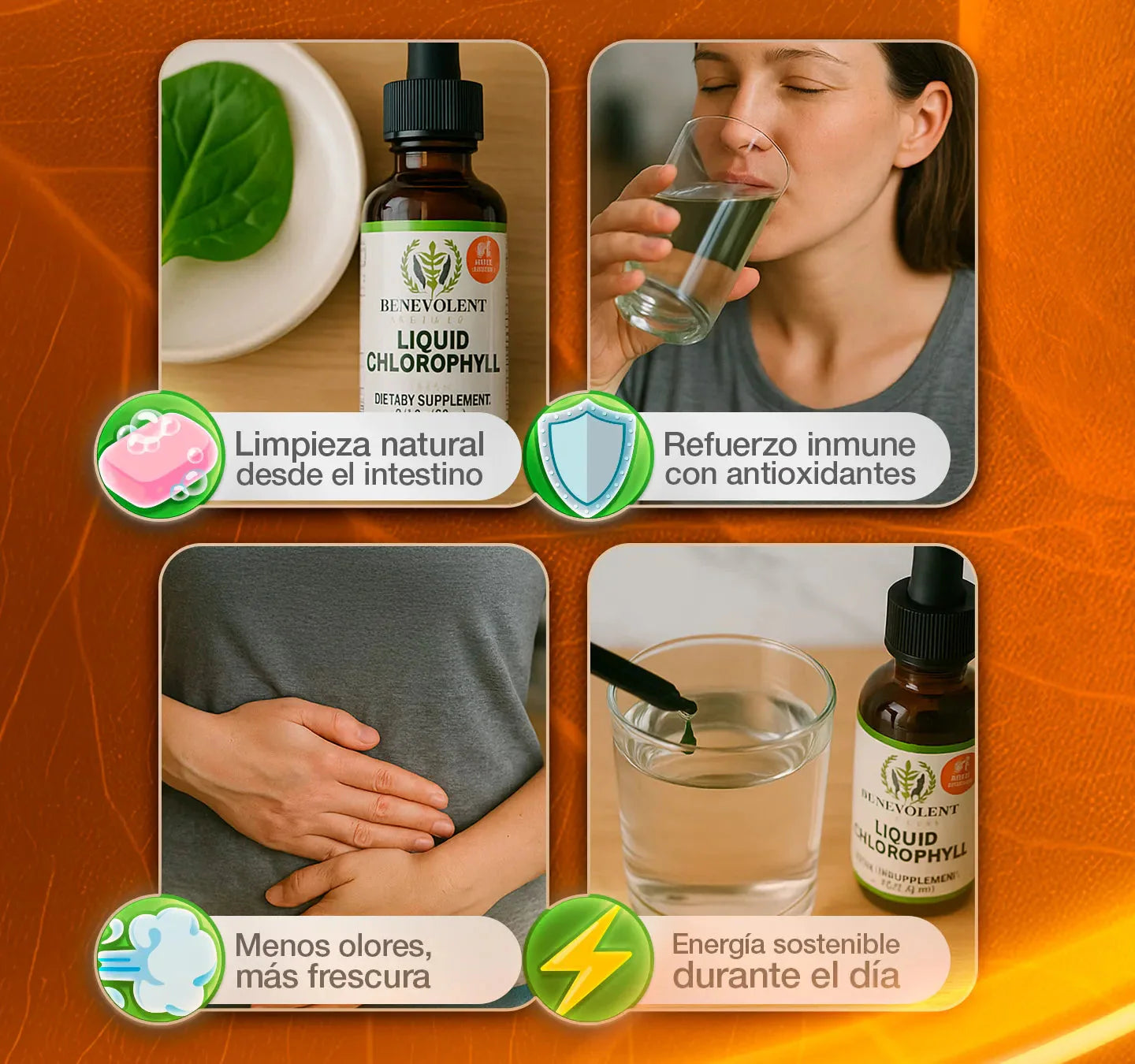 Clorofila líquida - Oferta este mes