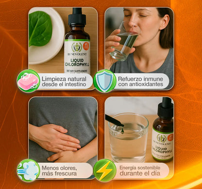 Clorofila líquida - Oferta este mes